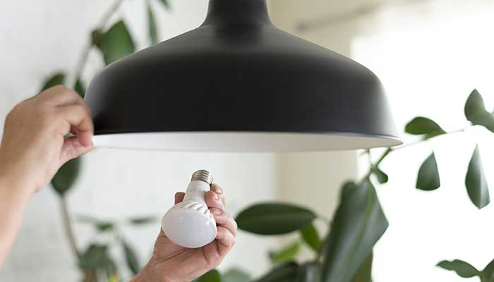 LED Lighting Manufacturing Services