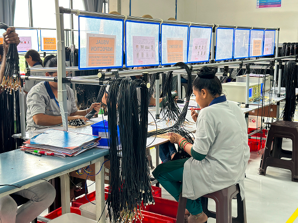 Wire Harness Assembly